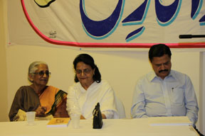 Panel 6-21-2009 Panel 6-21-2009